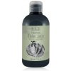 Šampon Bes Fragrance Melon Juice šampon na vlasy 300 ml