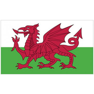 Printwear Vlajka Walesu Flagwls Wales 90 x 150 cm – Hledejceny.cz
