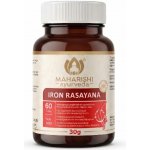 Iron Rasayana 60 tablet – Hledejceny.cz