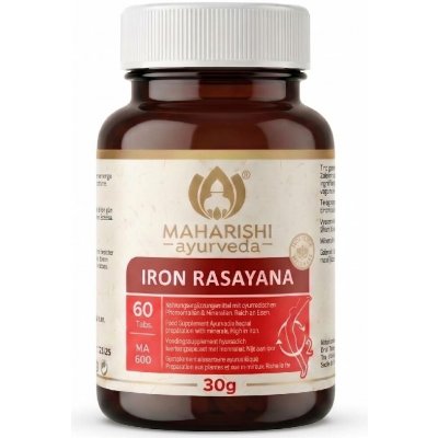 Iron Rasayana 60 tablet – Hledejceny.cz