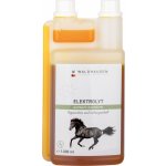 Waldhausen Elektrolyt Liquid 1 l – Hledejceny.cz