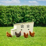 Veselé hnízdo Plastový kurník 132 x 80 x 85 cm – Zboží Mobilmania