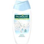 Palmolive Naturals Milk protein sprchový gel 250 ml – Zboží Mobilmania