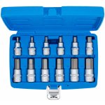 BGS Hlavice zástrčné s bitem imbus 1/2" 5-22mm 12 ks 5052 – Zboží Mobilmania