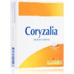 CORYZALIA POR TBL OBD 40 – Hledejceny.cz