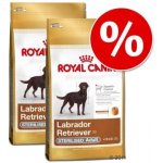 Royal Canin labrador retriever Puppy 24 kg – Hledejceny.cz