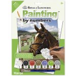 Royal Langnickel Malování podle čísel 22x30 cm - Kůň v ohradě – Zboží Dáma