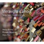 Private Musicke - Meraviglia D'amore CD – Hledejceny.cz