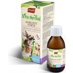 Vitapol Vita Herbal Kokcivit Forte Přípravek proti kokcidióze pro hlodavce a králíky 100 ml – Zboží Dáma