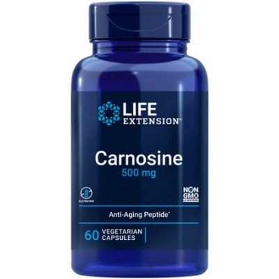 Carnosine 500 mg 60 vegetariánských kapslí – Hledejceny.cz