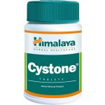 Himalaya Cystone 100 tablet – Zbozi.Blesk.cz