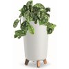 Květináč a truhlík botle Květináč s nožičkami Hoh Tube Planter 24 cm Plastové matné bílé květináče Money Tree Kaktusy Gumovník Lucky Feather