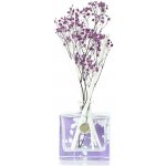 Ashleigh & Burwood Life in Bloom Plum Blossom & Pomegranate 100 ml – Zboží Dáma