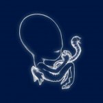 Sigur Ros - Agaetis Byrjun 2LP – Hledejceny.cz