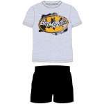 E plus M Batman pánské pyžamo krátké šedé – Sleviste.cz