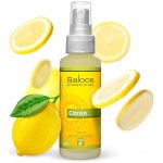 Saloos Natur aroma airspray přírodní osvěžovač vzduchu Citron 50 ml – HobbyKompas.cz