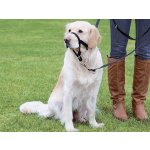 Trixie TOP TRAINER výcvikový postroj L XL – Hledejceny.cz