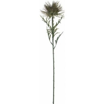 Edelman Květina Protea, zelená, 71 cm|Ego Dekor