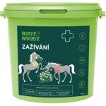 Root&Snoot Zažívání pro koně sypaná směs 1 kg – Hledejceny.cz
