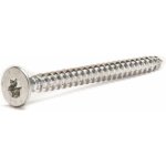HPM TEC Vrut UNI-TEC SD plný z. T25 5×45 mm – Hledejceny.cz