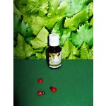 Rabštejnská apatyka Bříza tinktura z pupenů 25 ml – Sleviste.cz