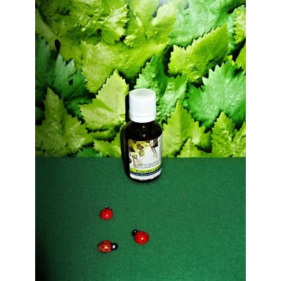 Rabštejnská apatyka Bříza tinktura z pupenů 25 ml – Sleviste.cz