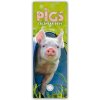 Kalendář Pigs Ferkel Schweinchen Slimline 2024