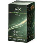 BioX ASHWAGANDA 500 mg 120 kapslí – Hledejceny.cz