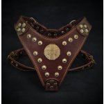 Bestia Collars Postroj pro psa Collar Maximus – Zboží Dáma