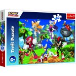 Trefl Sonic a přátelé/Sonic The Hedgehog 160 dílků – Hledejceny.cz