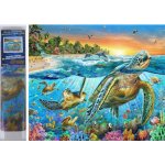 Norimpex Diamantové malování Želvy 30 x 40 cm – Sleviste.cz