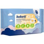 Queen vlhčený s vůní zeleného čaje 60 ks – Zboží Mobilmania