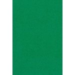 Amscan Papírový ubrus zelený 137x274cm – Zboží Dáma