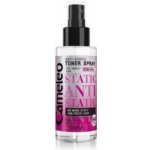 Delia Cosmetics Cameleo antistatický sprej pro nepoddajné vlasy 150 ml – Zboží Dáma