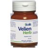 Doplněk stravy Joalis VelienHerb VelienHelp Bylinné 100 tablet