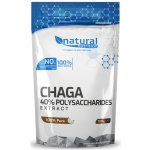 Natural Nutrition Chaga rezavec šikmý duální extrakt prášek 40% polysacharidů 100 g – Hledejceny.cz