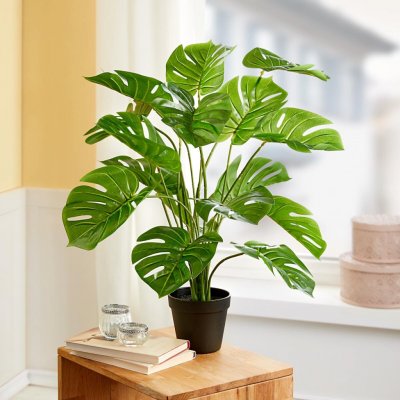 Die moderne Hausfrau Umělá rostlina Monstera – Zboží Mobilmania