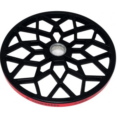 TRUESTEEL Impact Technické kotouče 2,5 kg 50 mm – Hledejceny.cz