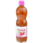 Stevikom Kombucha černý čaj Bio s malinou 0,5 l – Zboží Dáma