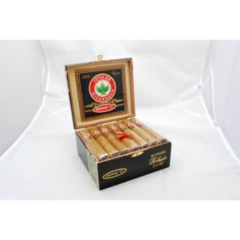 Joya de Nicaragua Serie C Robusto 5x52