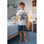 Sun City pyžamo Hrry Potter bílá modrá – Zboží Dáma