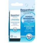 Bepanthen Derma krém na rty 7.5 ml – Zboží Dáma Bepanthen Derma krém na rty 7.5 ml – Zboží Dáma