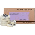 Stoneglow Vonný vosk do aromalampy Lavender Mint 10 ks 124 g přírodní barva vosk – Hledejceny.cz