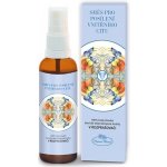 Hanna Maria Směs pro posílení vnitřního citu živlová aromaterapie Voda 50 ml – Hledejceny.cz