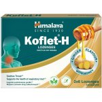Himalaya Koflet H Ginger 12 pastilek – Hledejceny.cz