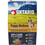 Ontario Puppy Medium Lamb & Rice 2,25 kg – Hledejceny.cz