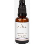 Anela Očistím ruce 30 ml – Zboží Dáma