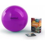 Ledragomma Gymnastik Ball 53 cm – Hledejceny.cz