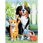 Royal Langnickel Malování podle čísel 22 x 30 cm Mazlíčci – Zboží Dáma