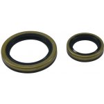 ALL BALLS těsnění klikové hřídele BETA EVO 4T 250 09-18, EVO 4T 300 09-21 | Zboží Auto